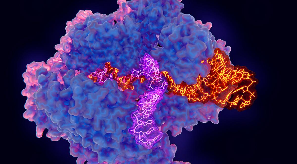 New CRISPR Systems for Advanced Genome Editing